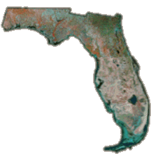 Self Storage in Florida
